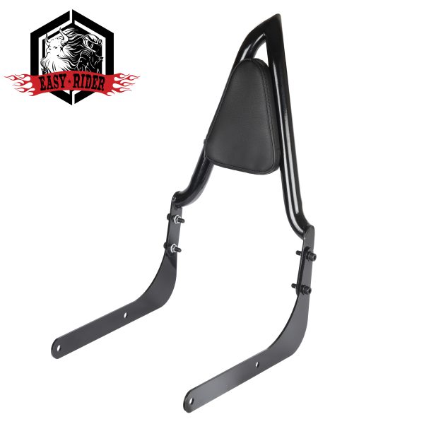 anarchy b1 سیسیبار Sissybar تکیه گاه Anarchy انارکی